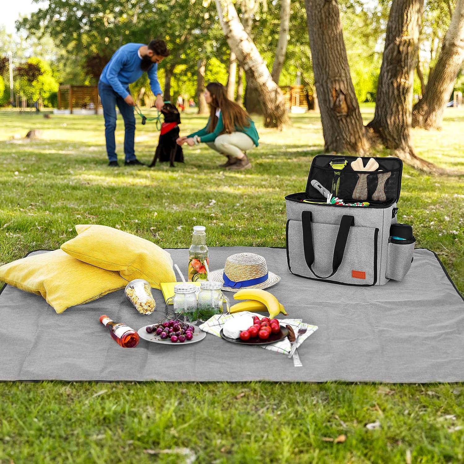 Kit picnic